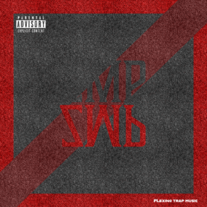 Cover ZMP